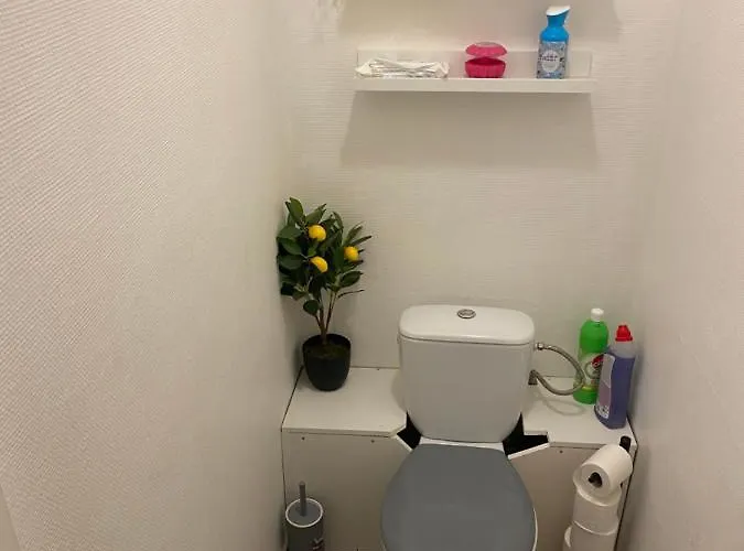 Le Petit Paradis De Lille Appartamento